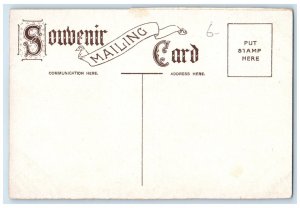 c1910 Wilmot Park Fredericton New Brunswick Canada Antique Unposted Postcard