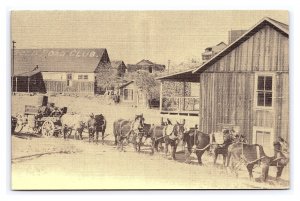 Postcard Wagon Pulled By Team Of Mules Goldroad Arizona