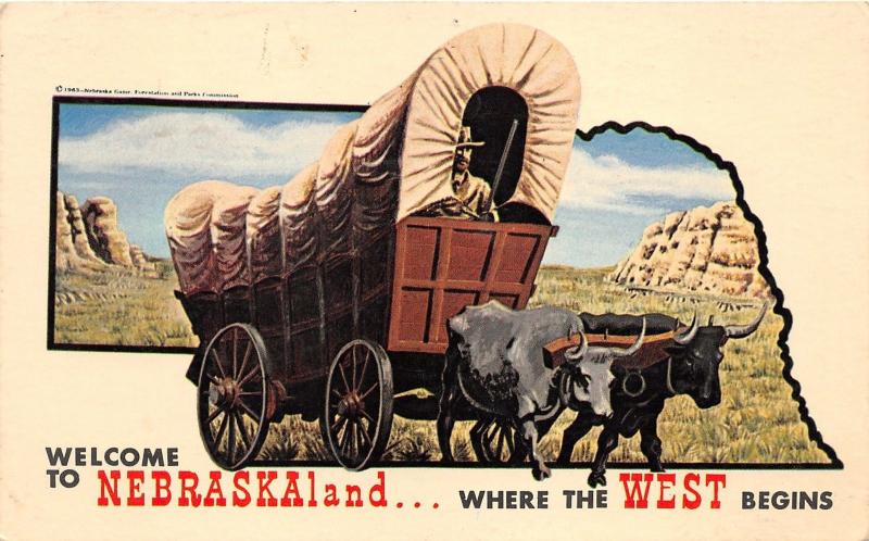 pioneer covered wagon oxen