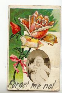 Layered Embossed Real Photo of Baby, Forget Me Not, Greeting
