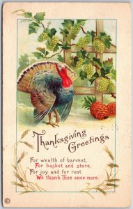 1910's Thanksgiving Greetings Turkey Wealth of Harvest Posted Postcard