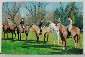 Kentucky Horse Shows and Annual Fox Hunts 1960s Postcard D6