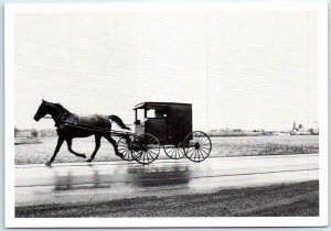 Postcard - Amish buggy along a wet Lancaster County road - Pennsylvania