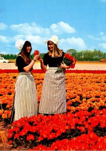 Netherlands In Flower Decoration Locals and Tulip Fields