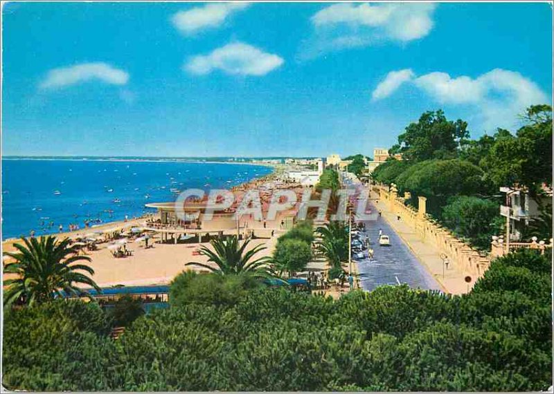 Postcard Modern Circe Terracina Avenue view taken of the Pineta