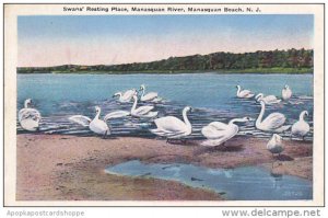 New Jersey Manasquan Beach Swans Resting Place Manasquan River 1936