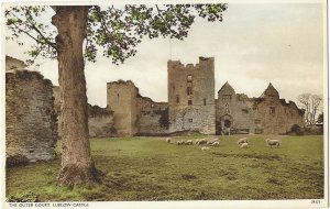 Ludlow Medieval Castle Outer Court Shropshire England United Kingdom