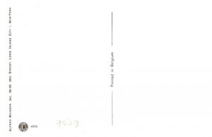 Cats  Watching Train    Alfred Mainzer no. 4926