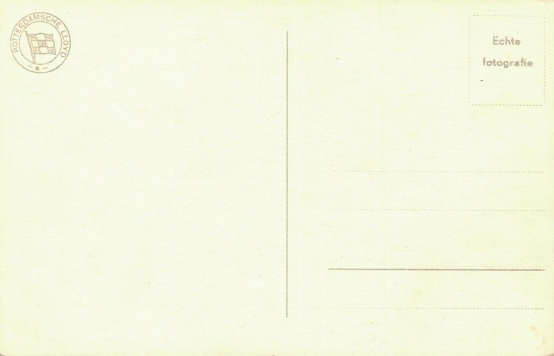 D.M.S. Dempo N.V. Rotterdamsche Lloyd RPPC 05.07