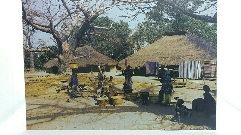 Vintage Postcard Casamance Village The Gambia Africa Villagers Washing Clothes