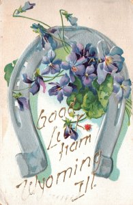 Vintage Postcard Good Luck From Wyoming Illinois Greetings Flowers & Shoe Horse