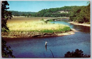 Vtg Michigan MI Fly Fishing Field And Stream 1950s River View Old Postcard