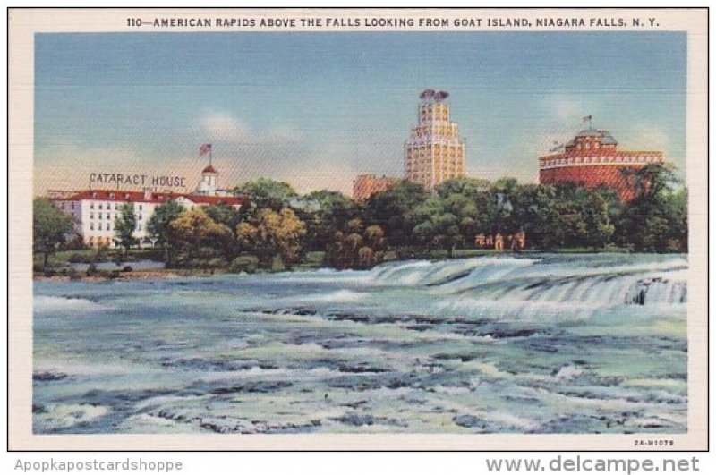 New York Niagara Falls American Rapids Above The Falls Looking From Goat Island