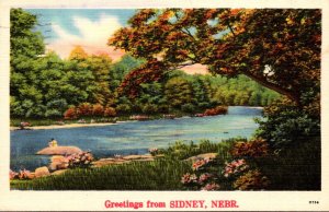 Nebraska Greetings From Sidney 1941