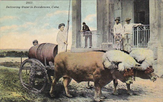 Cuba Ox Cart Delivering Water To Residences