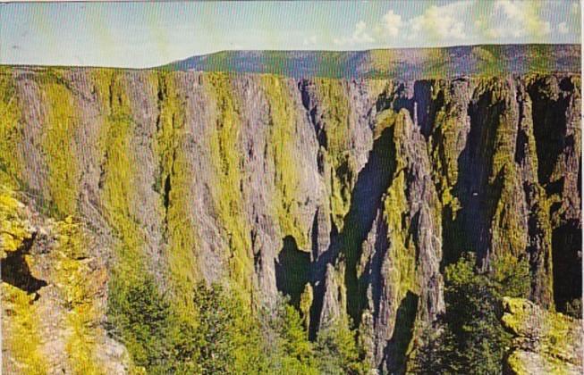 Colorado Montrose Black Canyon Of The Gunnison River