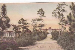 North Carolina Pinehurst A Glimpse Of The Carolina Albertype