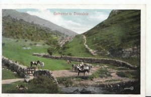 Derbyshire Postcard -  Entrance To Dovedale - Ref 4337A