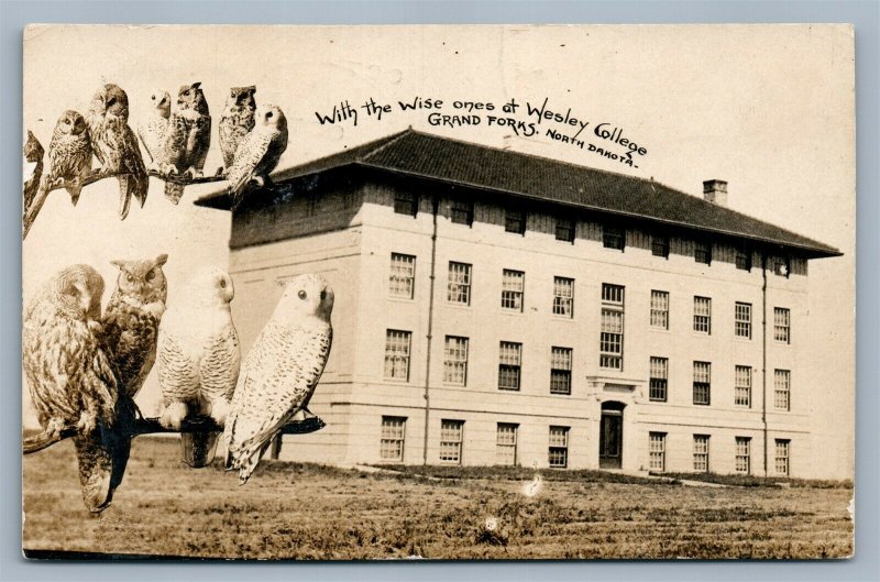 GRAND FORKS ND WESLEY COLLEGE ANTIQUE REAL PHOTO POSTCARD RPPC COLLAGE w/ OWLS