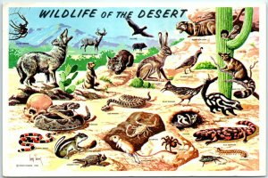 Postcard - Wildlife of the Desert