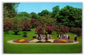 Highland Park Lilac Garden Rochester New York NY UNP Chrome Postcard H22