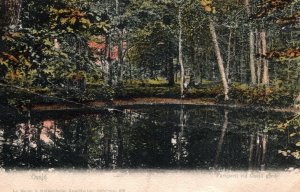 VINTAGE POSTCARD WOODED PARK AT OSSJO SWEDEN EARLY UNDIVIDED BACK c. 1903-1905