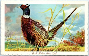 1966 SD South Dakota State Bird Chinese Ringneck Pheasant Ken Haag Painting A335