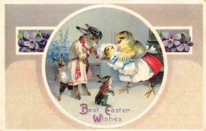 Easter Greetings Dressed Chick Shows Baby to Dressed Rabbit 1910c postcard