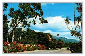 c1961 Postcard CA Channel Drive Santa Barbara California 