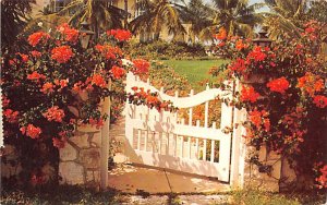 Flower Covered Wall Nassau in the Bahamas 1958 