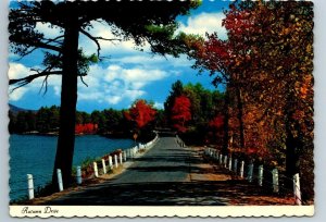 Autumn Drive, Kamouraska, Quebec, Chrome Postcard
