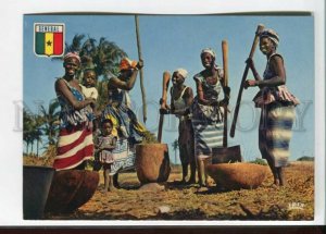 470820 Africa Senegal Village scene Old photo postcard