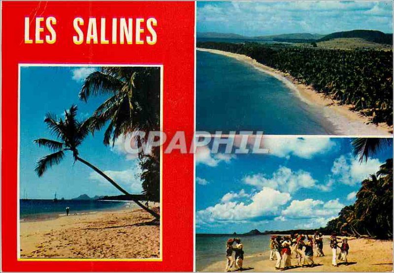 Modern Postcard Martinique Beach Salines