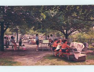 Pre-1980 PICNIC AREA AT OCEAN BEACH PARK New London Connecticut CT hk6137@