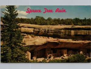Spruce Tree Ruin Mesa Verde National Park CO Postcard PC362