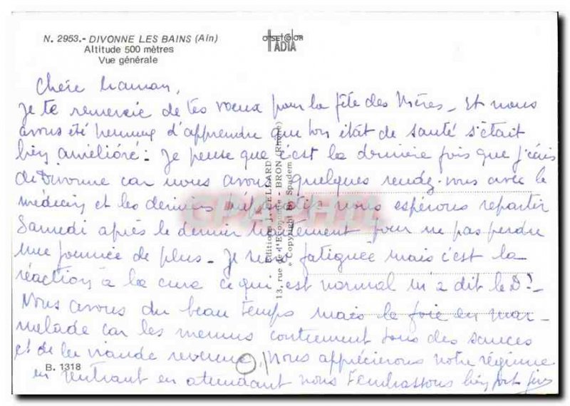 Modern Postcard Divonne les Bains Ain General view