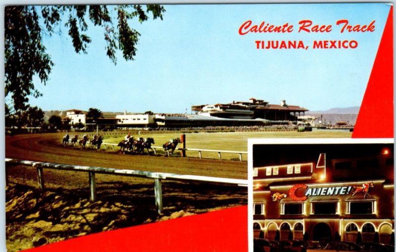 TIJUANA, Mexico   CALIENTE RACE TRACK  ca 1950s    Postcard