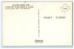 c1950's Swimming Pool The Ovens Natural Park Nova Scotia Canada Postcard