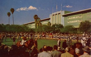 CA - Arcadia. Santa Anita Park, Horse Racing