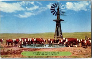 Cattle at Water, Windmill Greetings from KS Wheat State Vintage Postcard C14