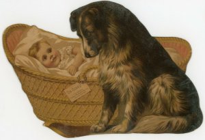 1880's A&P Tea Co. Baby w/ Dog 9 1/2 x 6 1/2 &C