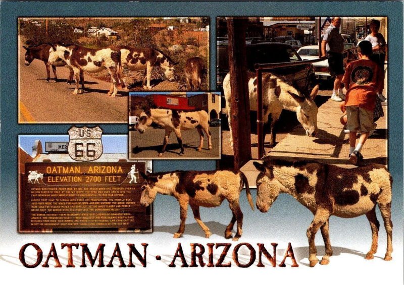 3~4X6 Postcards Oatman, AZ Arizona STREET SCENES~GUNFIGHT SHOW~BURROS Route 66