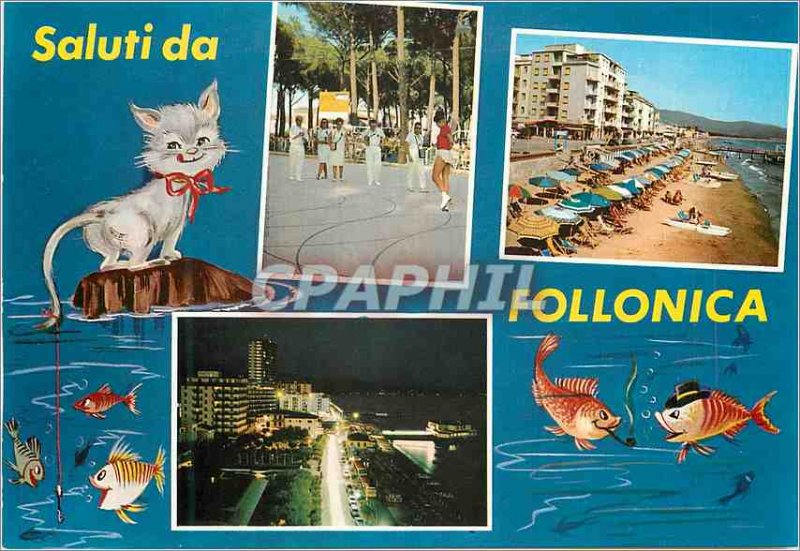 Postcard Modern Saluti da Follonica Cat Fish