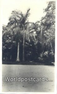 Para Botanical Garden Brazil Postcard