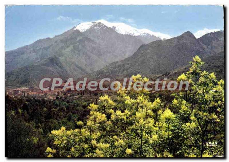 Postcard Modern Corte Vue Generale Sur Fond Snowy Mount Rotondo