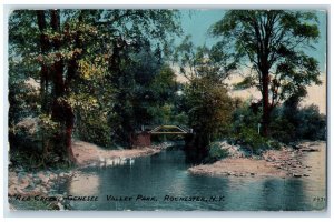 1912 Red Creek Genesee Valley Park River Lake Swans Rochester New York Postcard