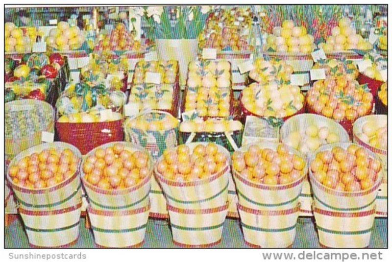 Shipper's Display Of Tropical Fruit In Florida