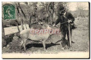 Old Postcard Pig Pig Folklore en Perigord truffles researcher