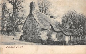 uk50904 studland dorset real photo uk