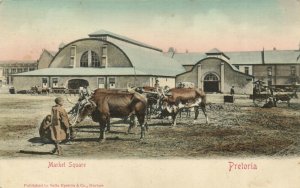 PC CPA SOUTH AFRICA, PRETORIA, MARKET SQUARE, VINTAGE POSTCARD (b15681)